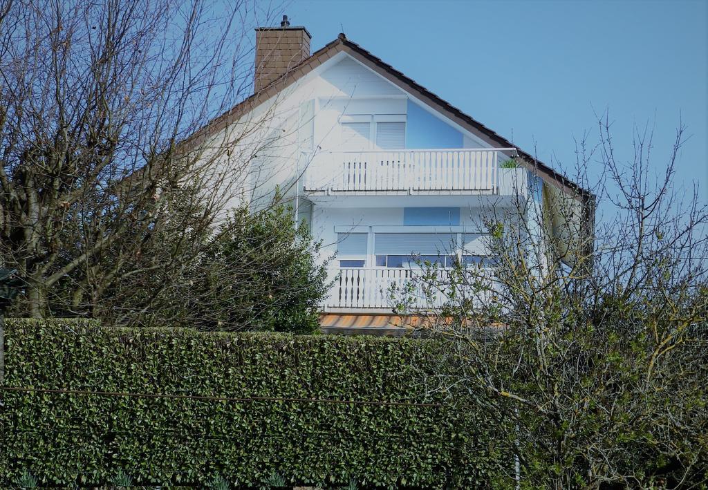 H41 Inn Hotel Garni Freiburg (Adults Only) Gundelfingen  Exterior foto